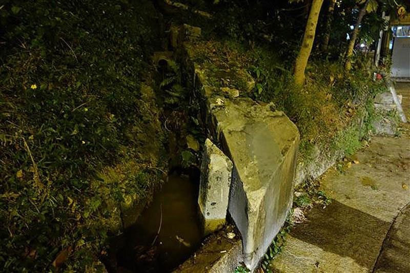 companii-alimentare-produse-ilegale