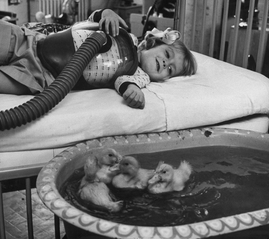 fetita-si-ratustele-terapie-1956